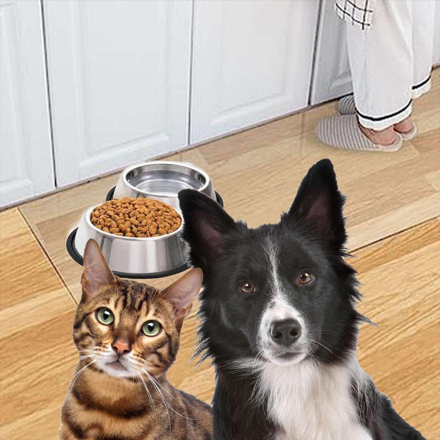 Artwelt Futtermatte Folie Transparent Bodenschutzmatte Wiederaufbereitet Napfunterlage in Verschiedenen Größen Erhältlich für Katze oder Hund (50cm X 60cm)